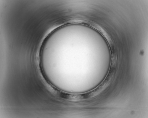 X0000103330795200809192203