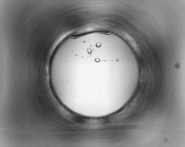 X0000103330796200809192203