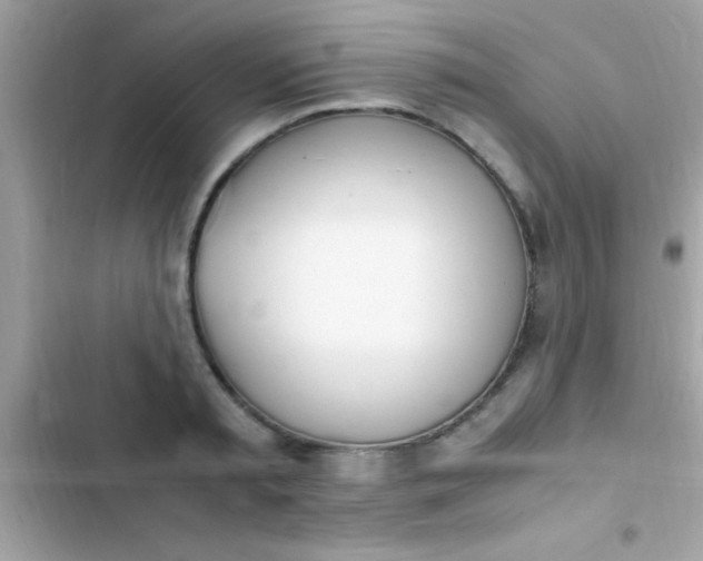 X0000103330797200809192203