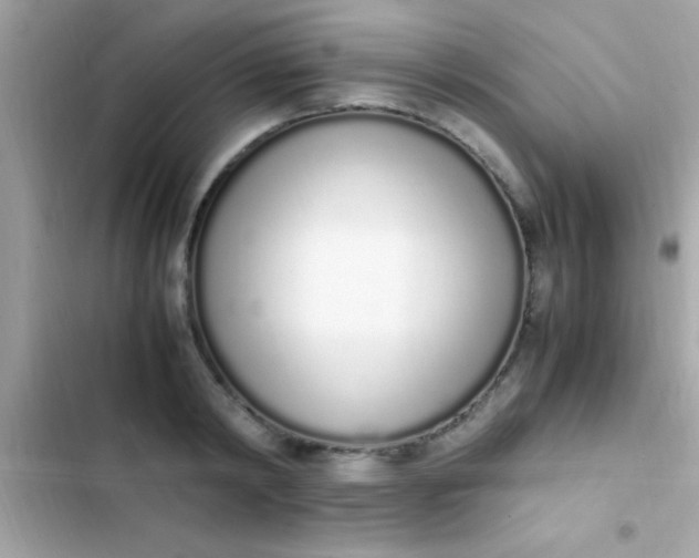 X0000103330798200809192203