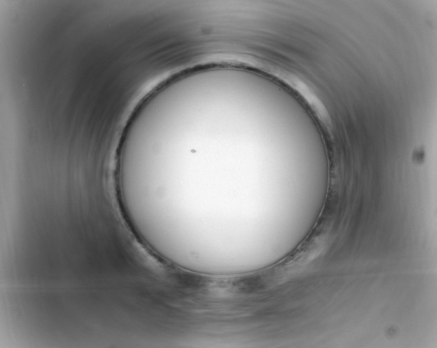 X0000103330799200809192203