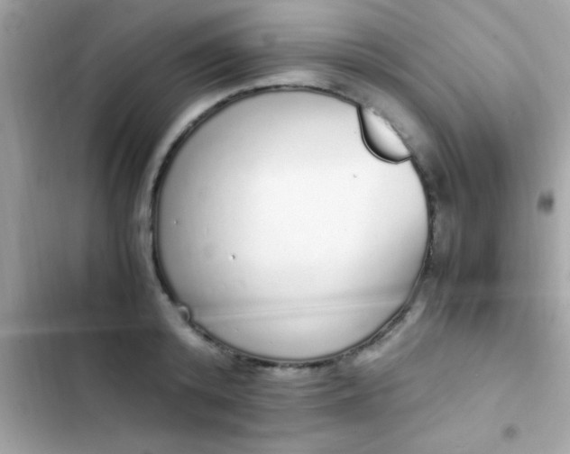 X0000103330800200809192203