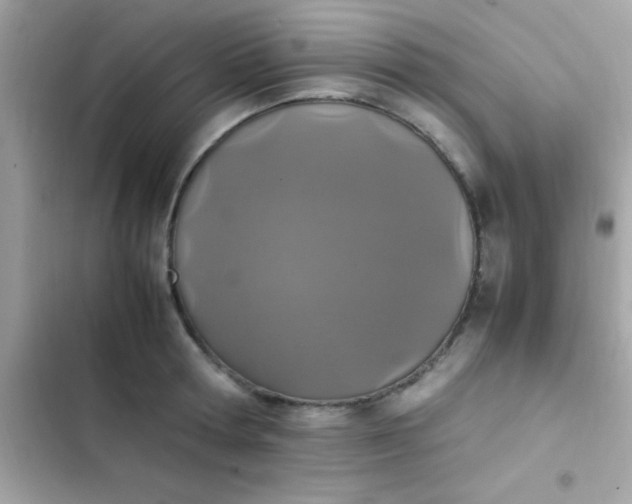 X0000103330802200809192203