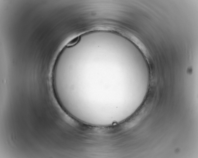 X0000103330803200809192203