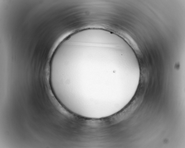 X0000103330804200809192203