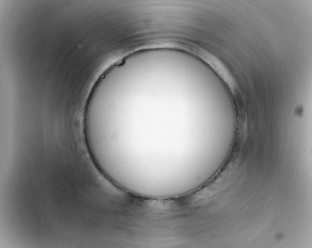 X0000103330805200809192203