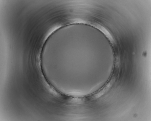 X0000103330806200809192203