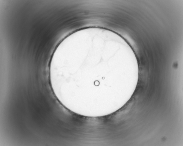 X0000103330807200809192203