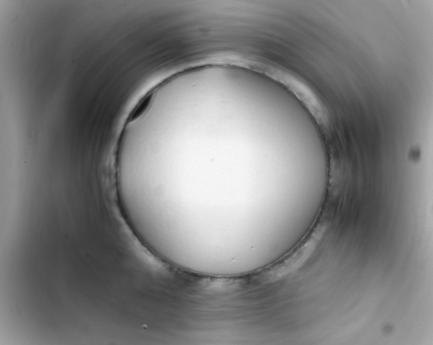 X0000103330808200809192203