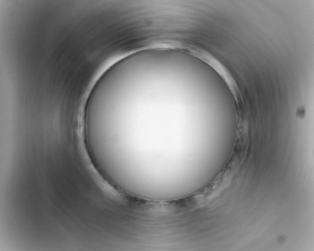 X0000103330811200809192203