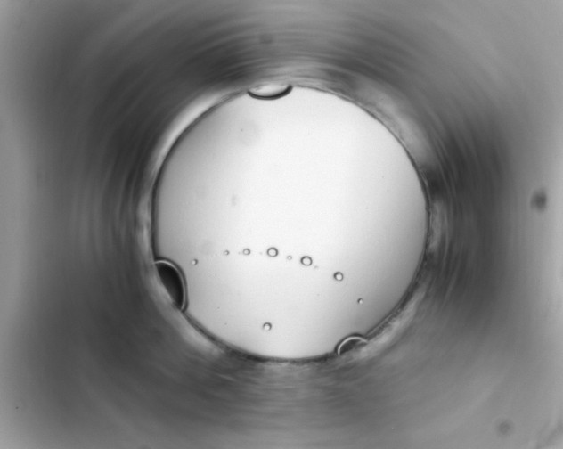 X0000103330812200809192203