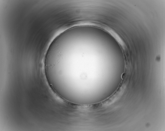 X0000103330813200809192203