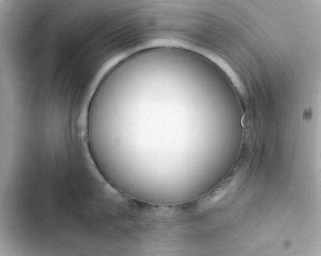 X0000103330815200809192203