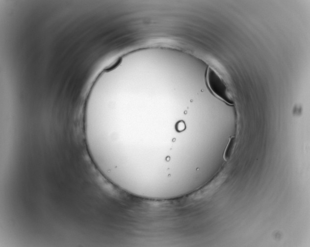 X0000103330816200809192203