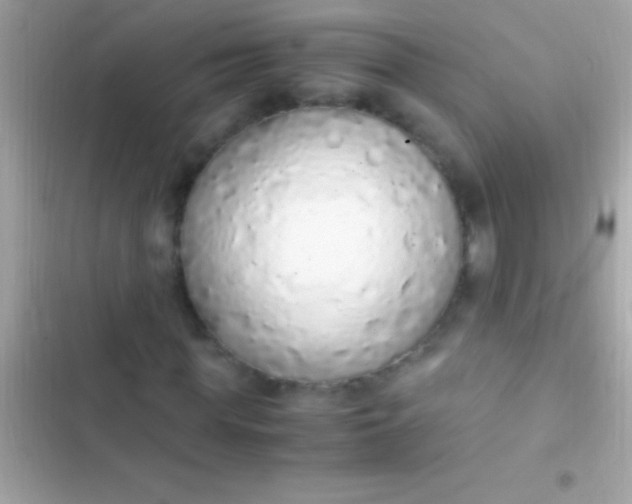 X0000103330819200809192202