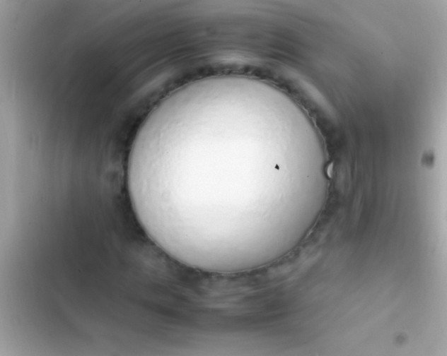 X0000103330821200809192202