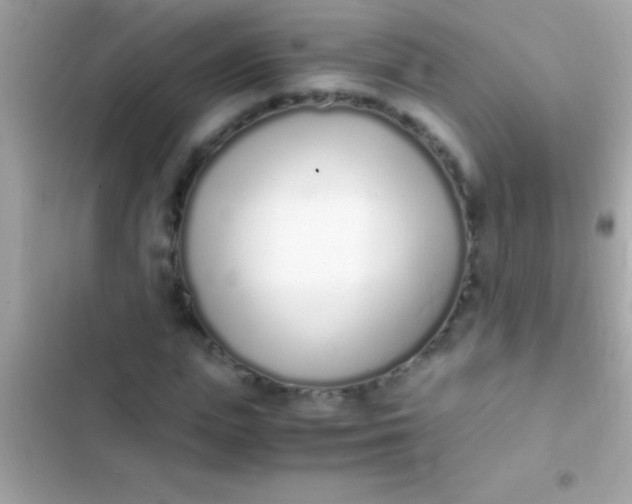 X0000103330823200809192202