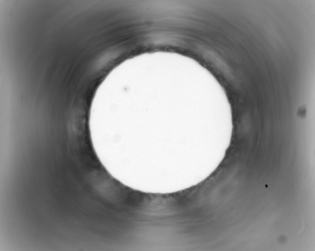 X0000103330824200809192202