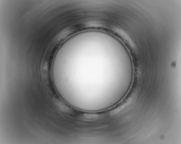 X0000103330825200809192202