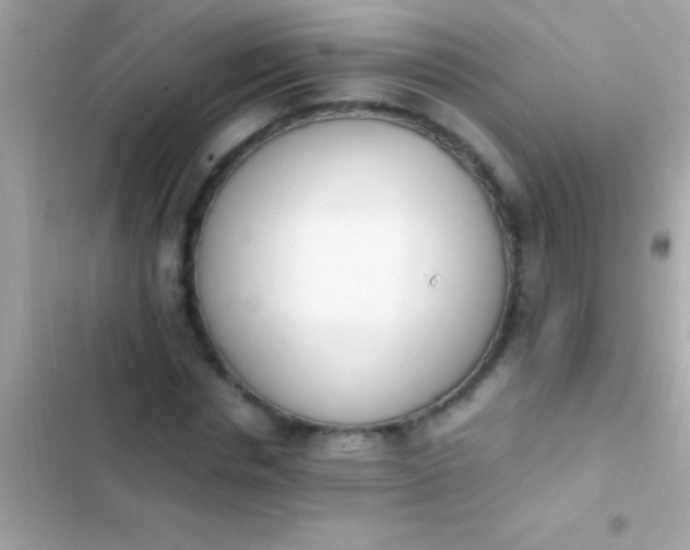 X0000103330826200809192202