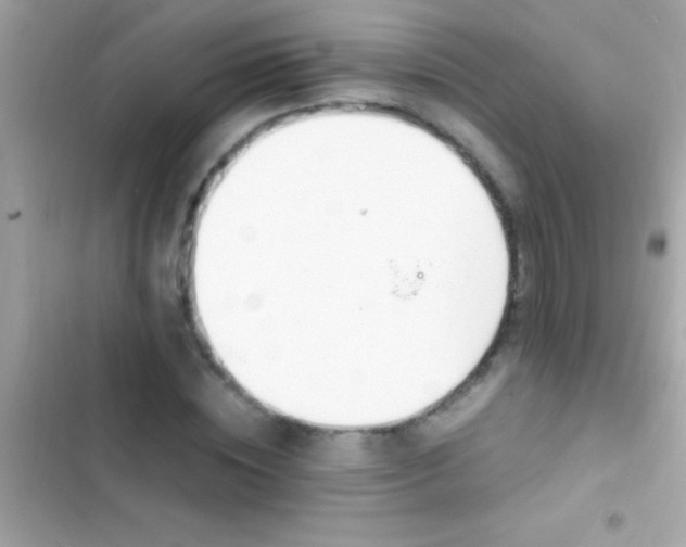 X0000103330828200809192202