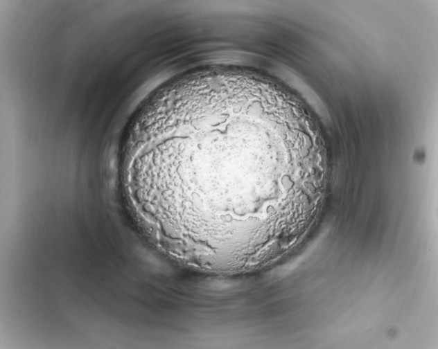 X0000103330829200809192202