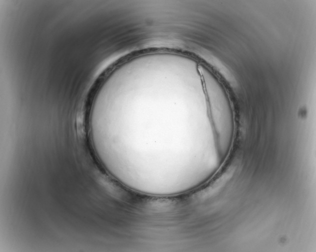 X0000103330830200809192202