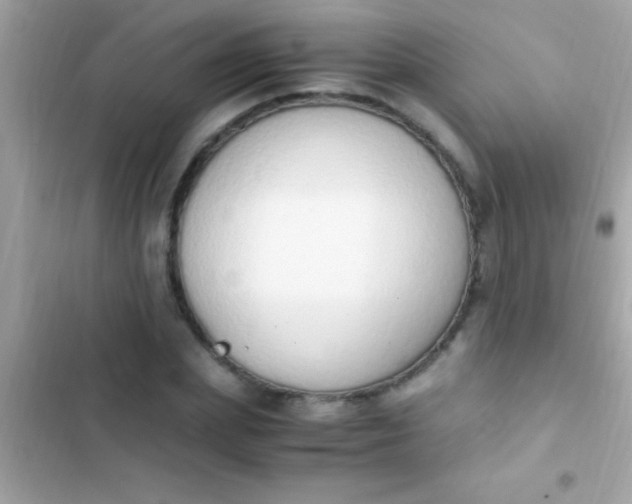 X0000103330831200809192202