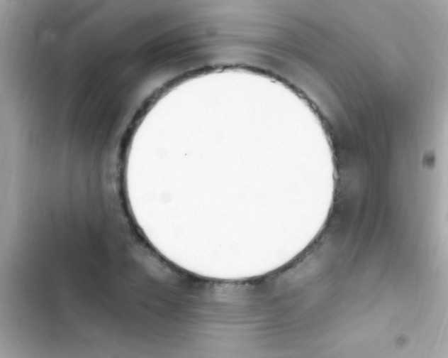 X0000103330832200809192202