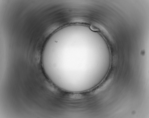 X0000103330833200809192202