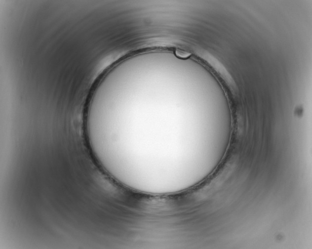 X0000103330834200809192202