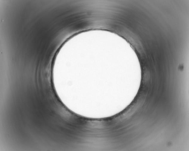 X0000103330836200809192202