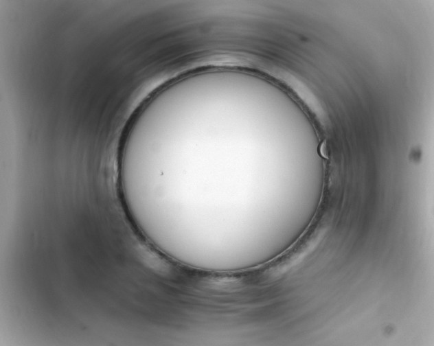 X0000103330837200809192202