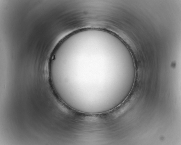 X0000103330838200809192202