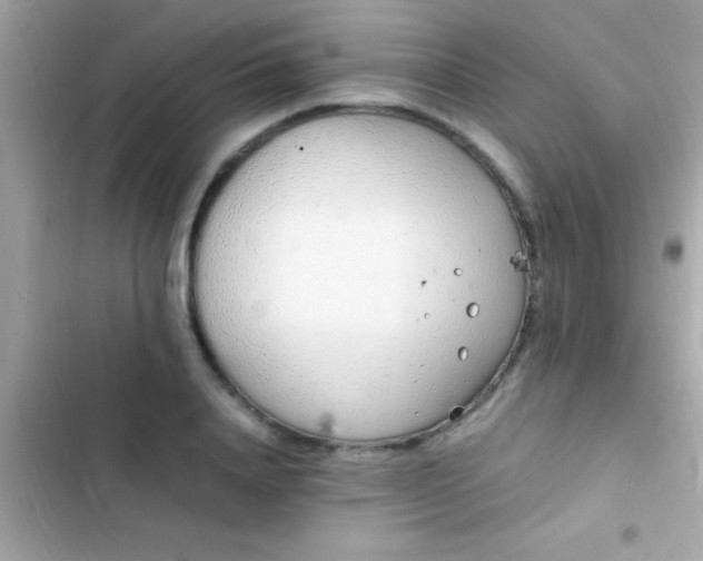 X0000103330840200809192202