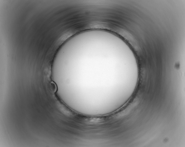 X0000103330841200809192202