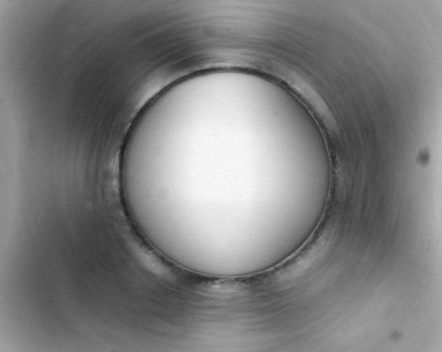 X0000103330842200809192202