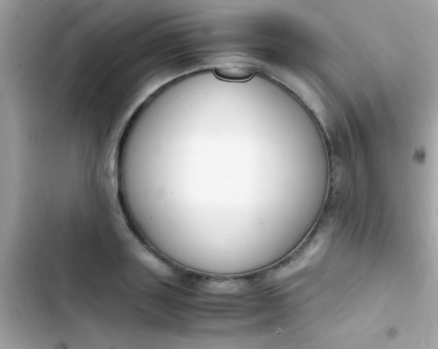 X0000103330843200809192202