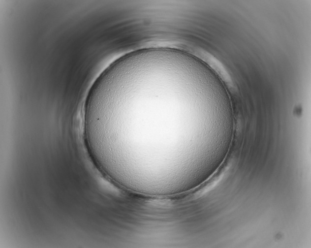 X0000103330844200809192202