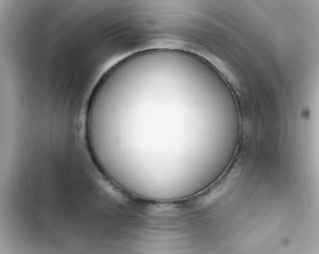 X0000103330846200809192202