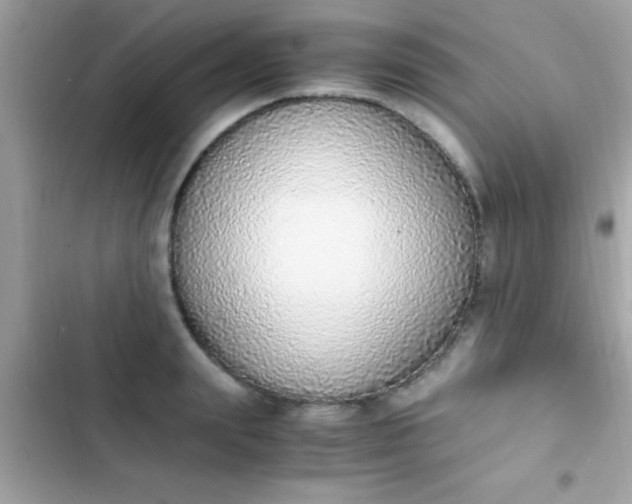 X0000103330847200809192202