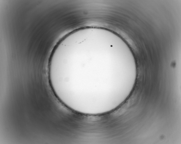 X0000103330848200809192202