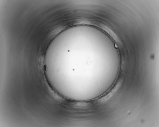 X0000103330849200809192202