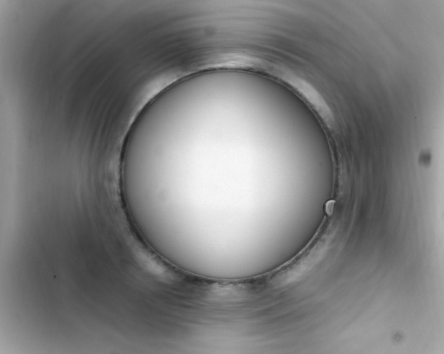 X0000103330850200809192202