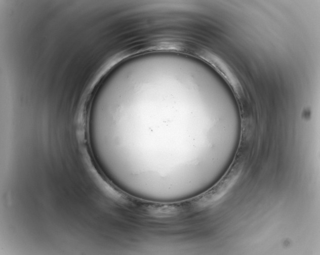 X0000103330851200809192202