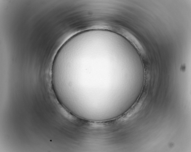 X0000103330852200809192202