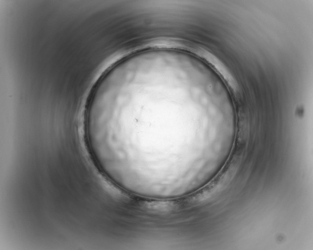 X0000103330853200809192202