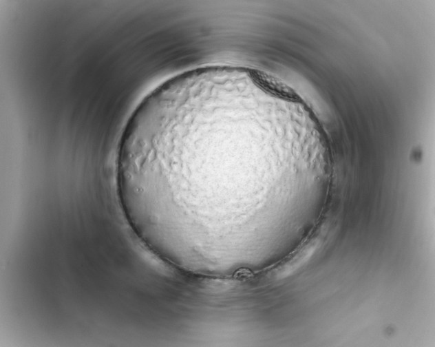 X0000103330854200809192202