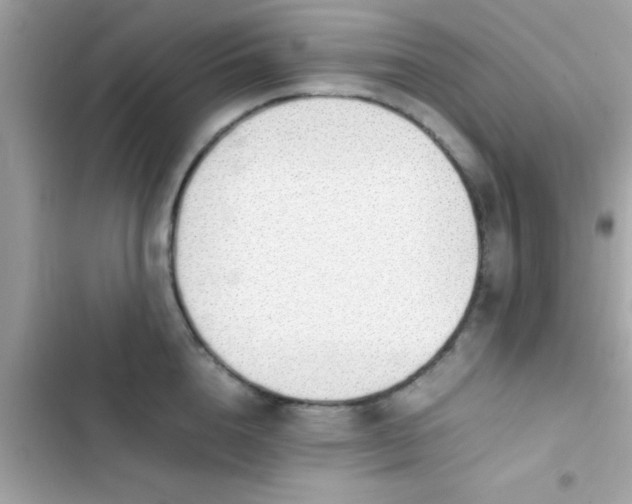 X0000103330856200809192203