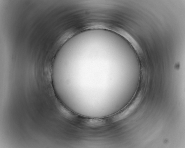 X0000103330857200809192203